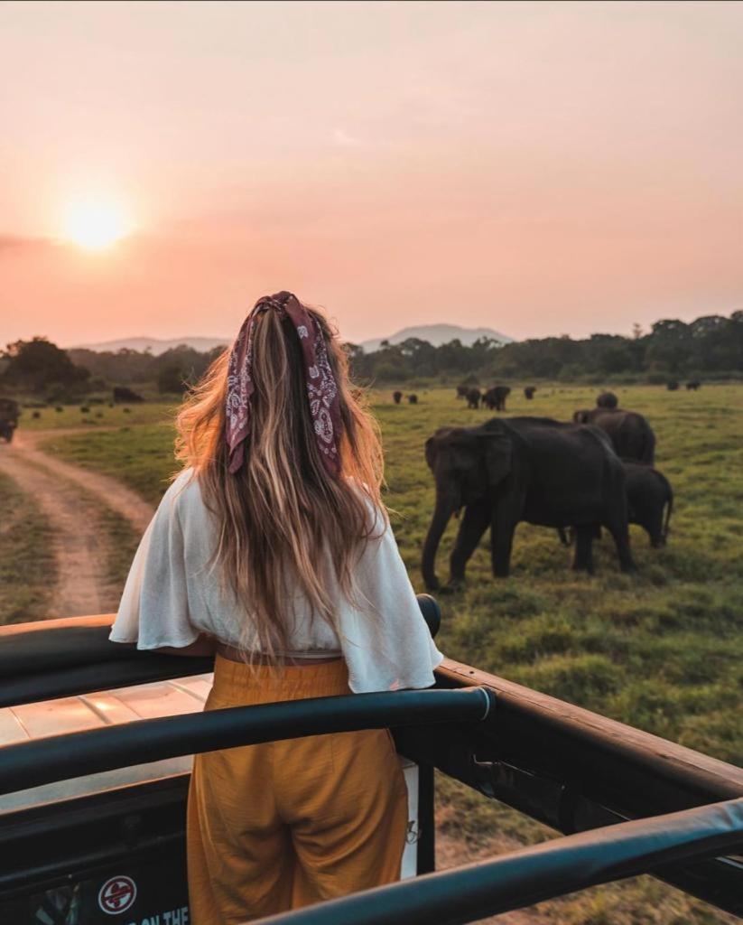 Minneriya Jeep Safari Хабарана Экстерьер фото