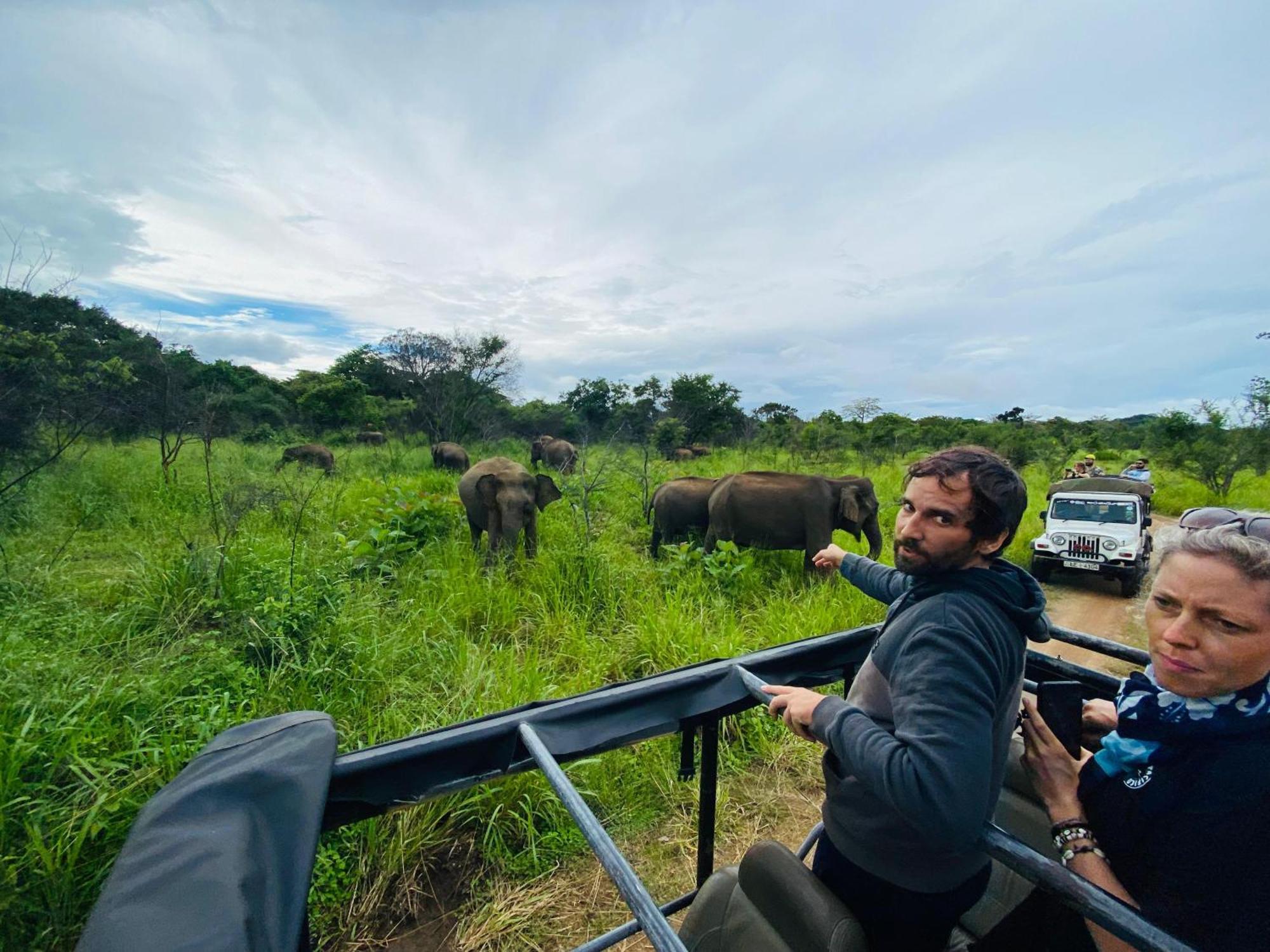 Minneriya Jeep Safari Хабарана Экстерьер фото